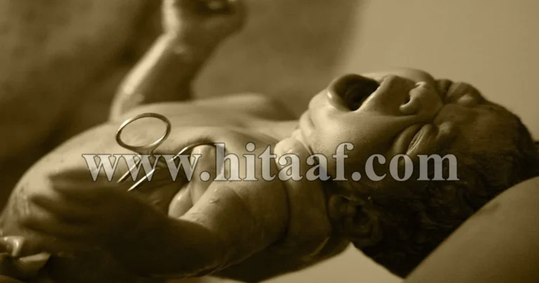 اصرخ، صرخة الحياة في عالم مليء بالتحديات