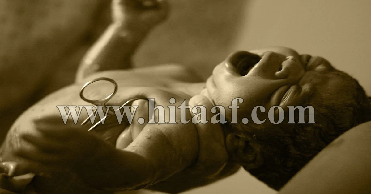 اصرخ، صرخة الحياة في عالم مليء بالتحديات