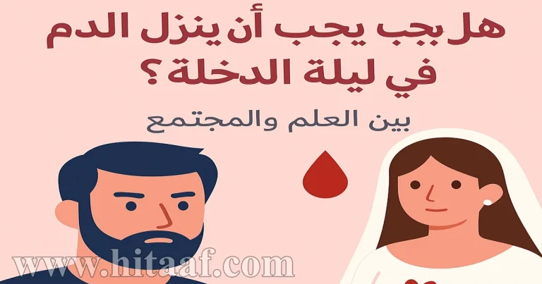 رسم توعوي يناقش الأسئلة الشائعة عن ليلة الدخلة بطريقة علمية ومحترمة