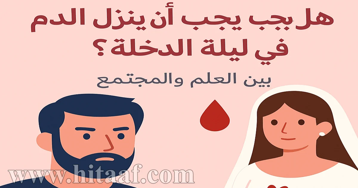 رسم توعوي يناقش الأسئلة الشائعة عن ليلة الدخلة بطريقة علمية ومحترمة